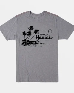 RVCA BOYS LUAU VISTA TEE Smoke Hot