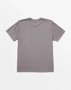 RVCA PTC II PIGMENT TEE Gray Ridge Discount